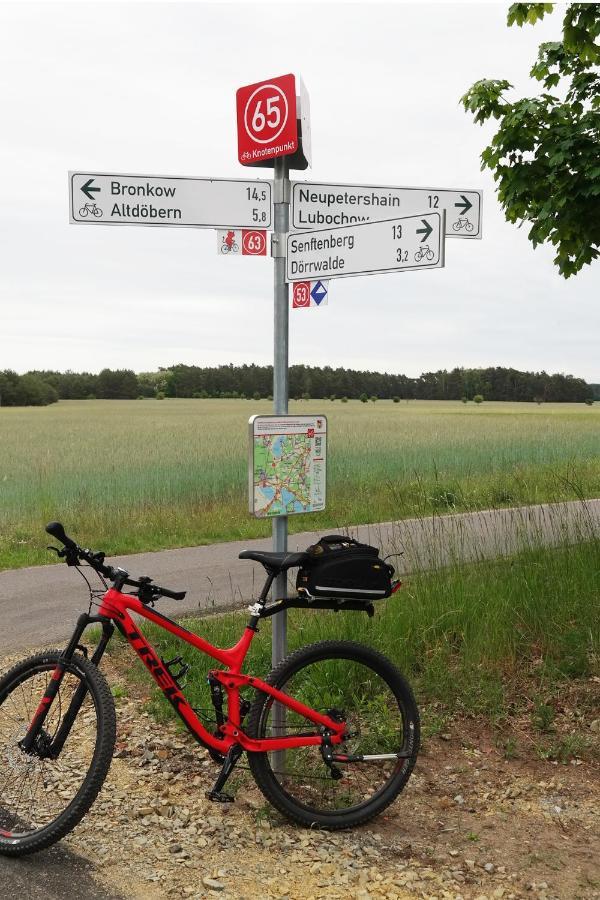 Ferienwohnung Seenland Grossraeschen Exteriör bild